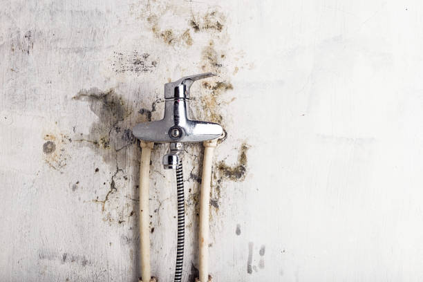 Best Mold Testing  in Teviston, CA