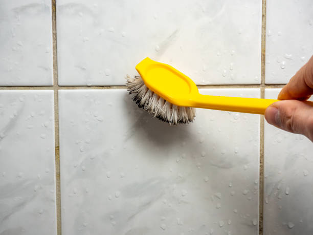 Best Local Mold Removal Service  in Teviston, CA