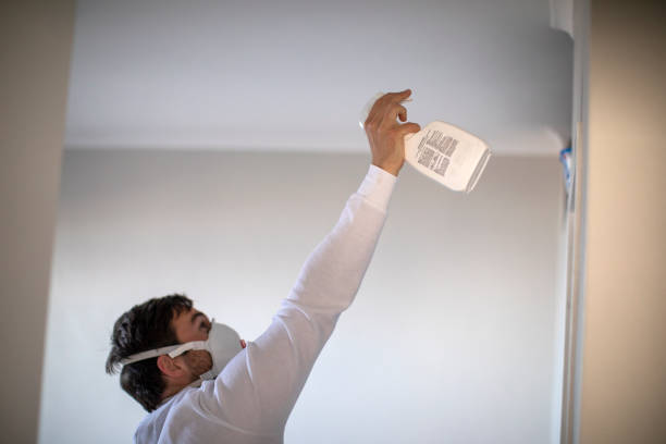 Best Mold Remediation  in Teviston, CA