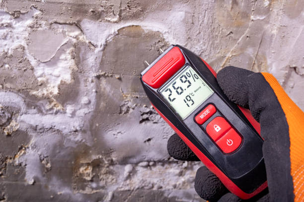 Best Mold Removal Specialists  in Teviston, CA