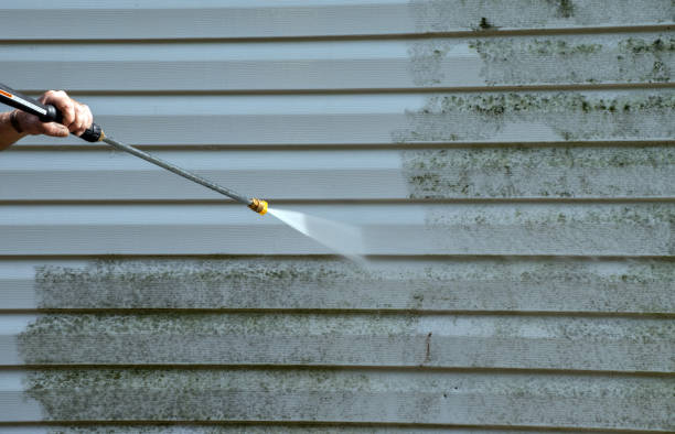Best Attic Mold Removal  in Teviston, CA