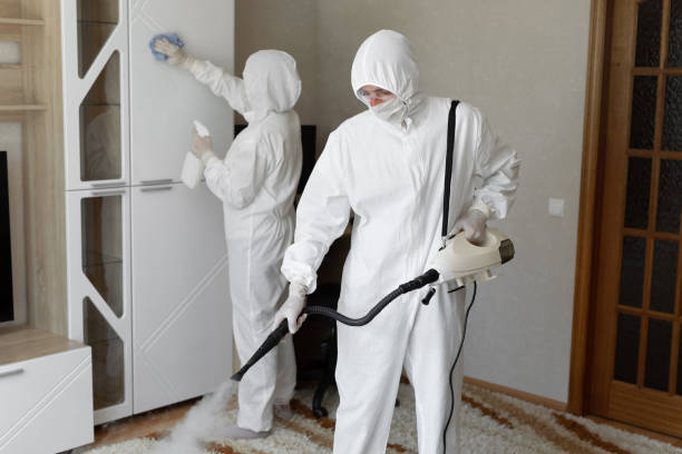 Best Office Mold Removal Services  in Teviston, CA