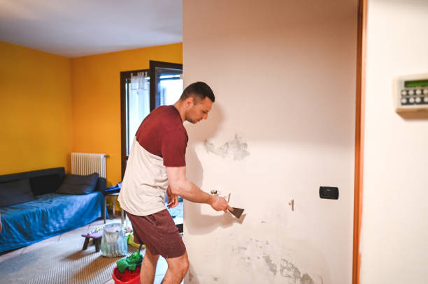 Mold Removal Process in Teviston, CA